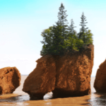 new brunswick population retention