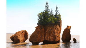 new brunswick population retention