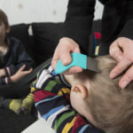 prevent remove lice get rid of lice moncton