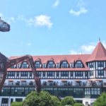 creative new brunswick economy outmigration immigration growth population birth rate decline