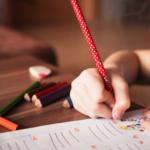 poll youth voices new Brunswick moncton