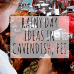 Rainy Day in Cavendish with the Kids ideas family fun vacation rain pei what to do Moncton pickle planet