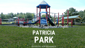 riverview patricia park tot lot accessible playground pickle planet