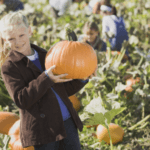thanksgiving Moncton family weekend kids activities events