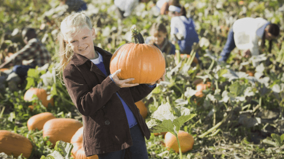 thanksgiving Moncton family weekend kids activities events