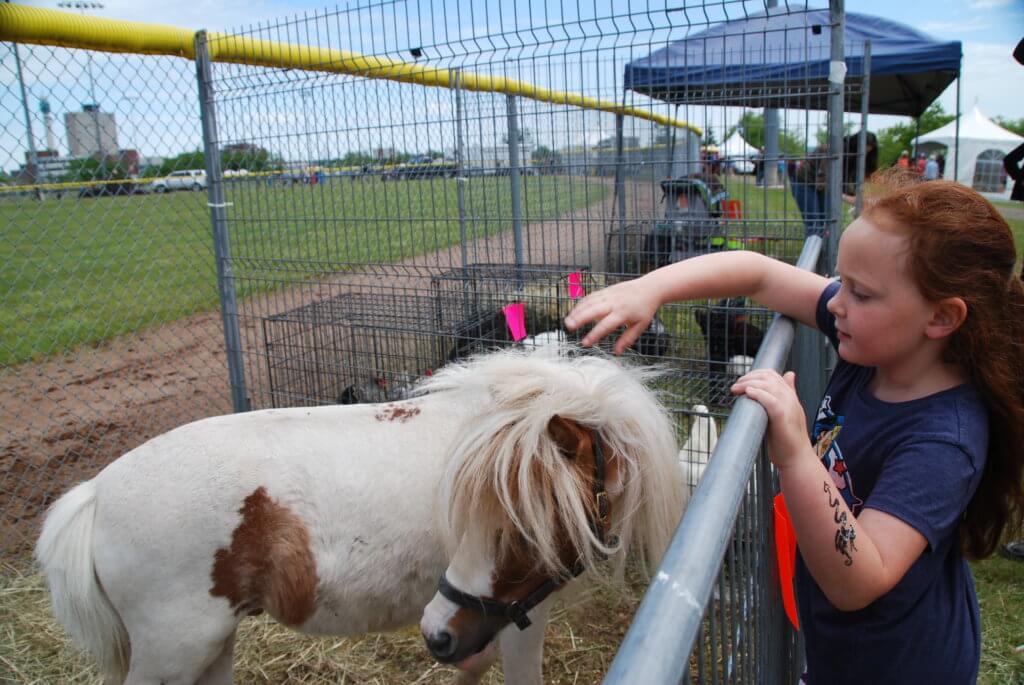 moncton highland games petting zoo pickle planet 