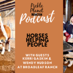 horse therapy ptsd broadleaf ranch new brunswick pickle planet moncton podcast