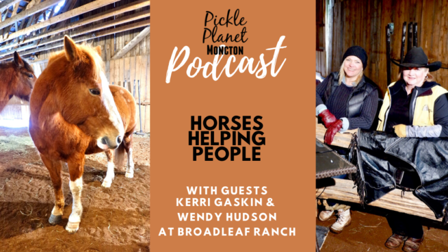 horse therapy ptsd broadleaf ranch new brunswick pickle planet moncton podcast