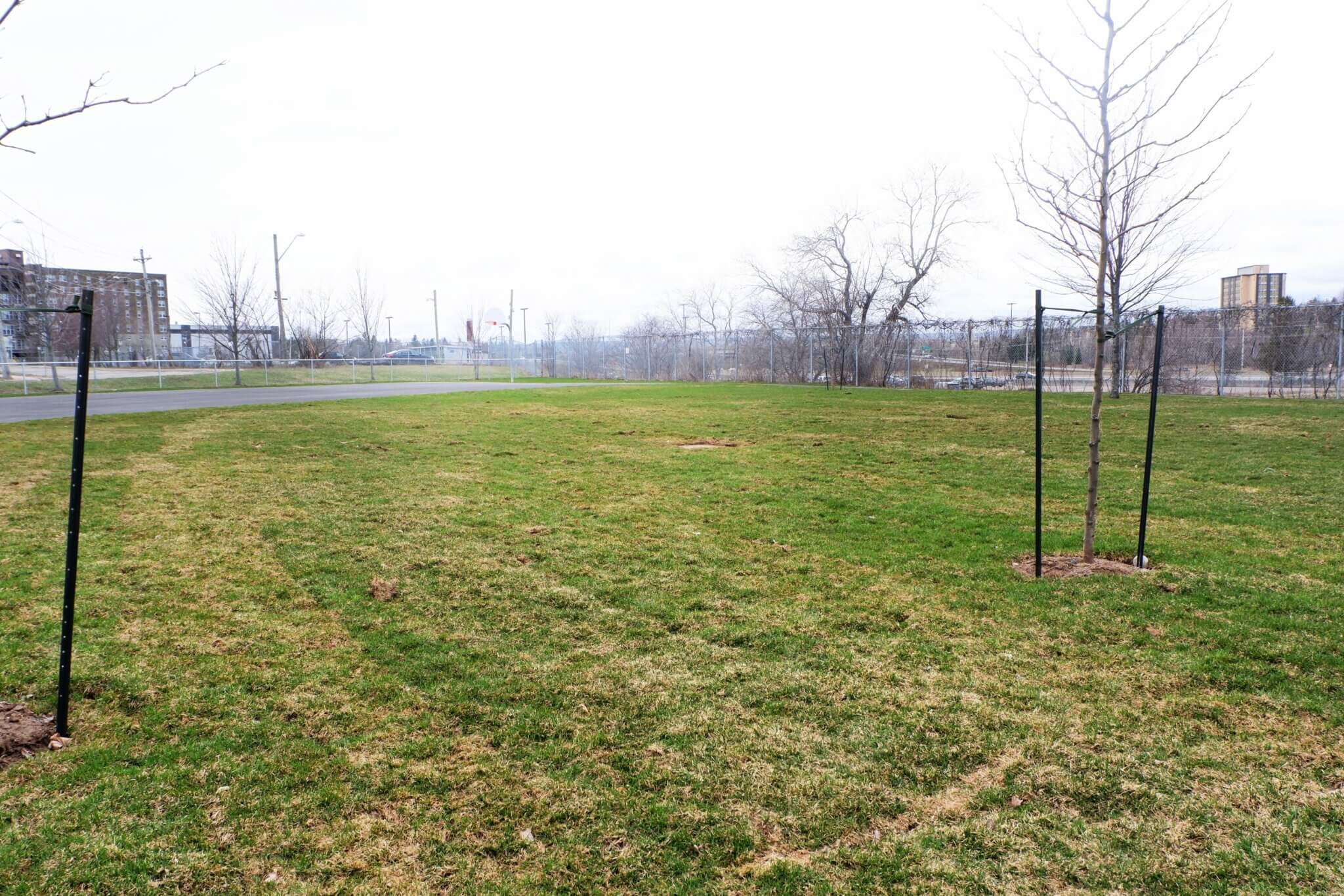 Moncton’s Halls Creek Park Pickle Moncton