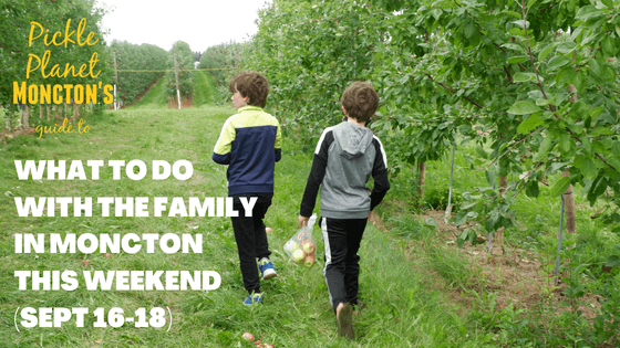 young twin brothers walking through an apple orchard near moncton new brunswick to share ideas on family friendly activities and events this weekend