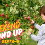 pickle planet weekend event round up